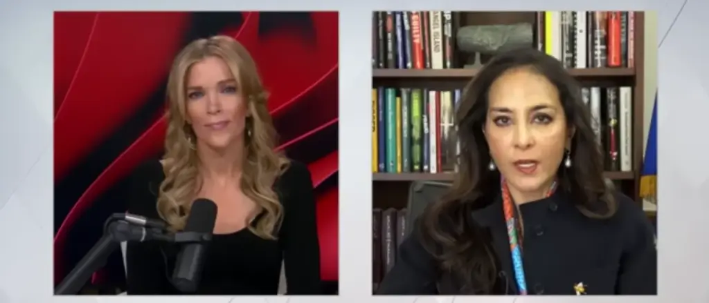 Harmeet Dhillon informs Megyn Kelly that the DOJ will relentlessly pursue charges against Don Lemon after a judge hesitates.