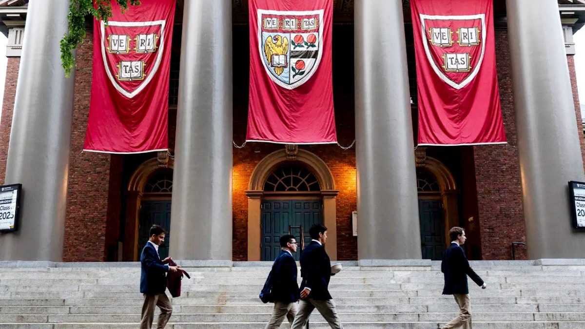 Harvard graduate speaks out against DEI as ex-professor discusses departure due to wokeness