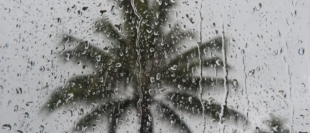 Hawaii Faces Winter Storm Warning as Kona Low Brings Snow and Flood Risk