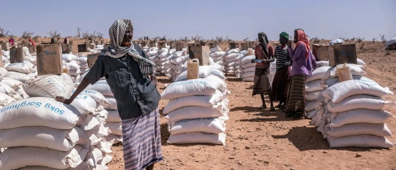 Healthcare, Daycare, and Food Assistance: Expelled Somali MP Reveals Where the Scams Come From