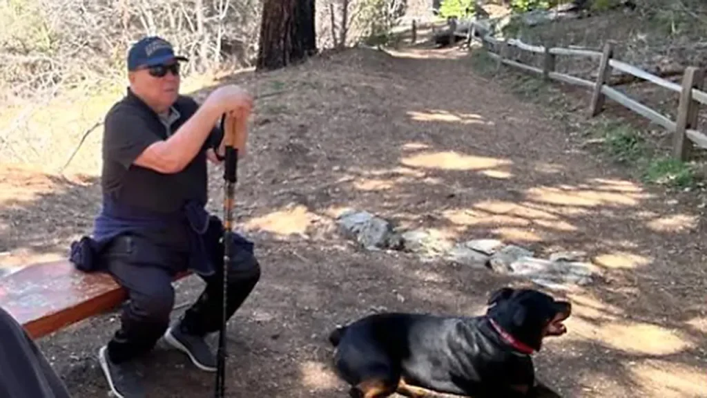 Holocaust survivor dies in hit-and-run accident involving a Maserati in California