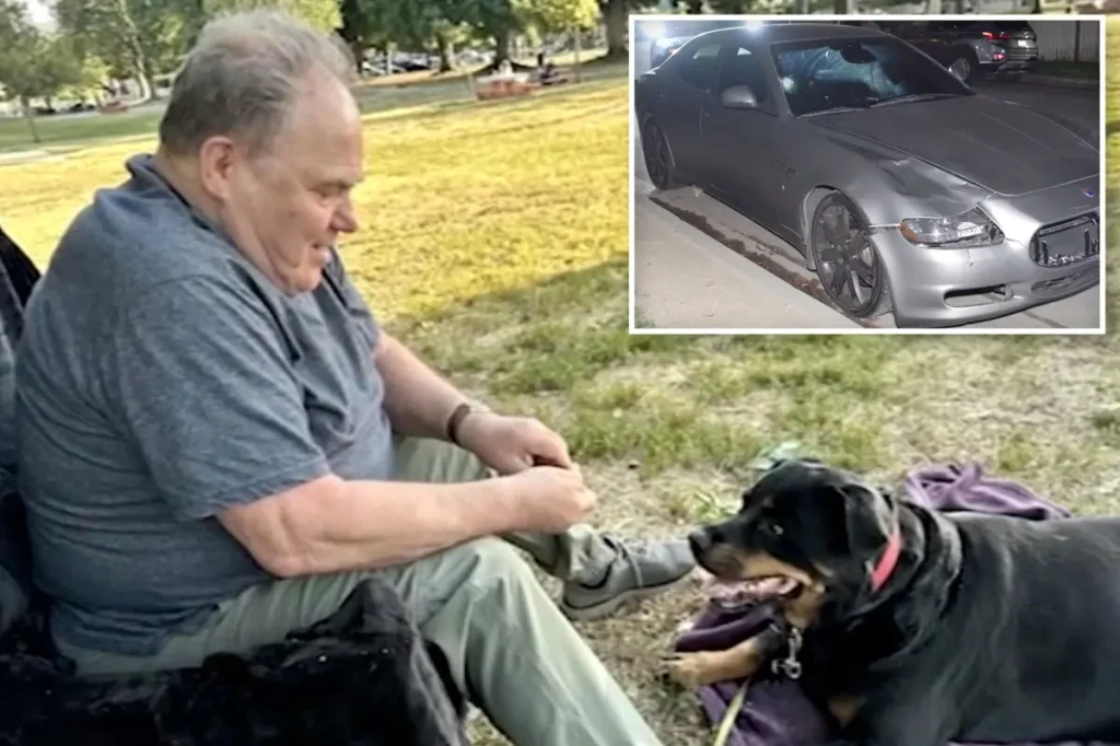 Holocaust survivor walking his dog identified as the man killed in a Maserati hit-and-run in Los Angeles