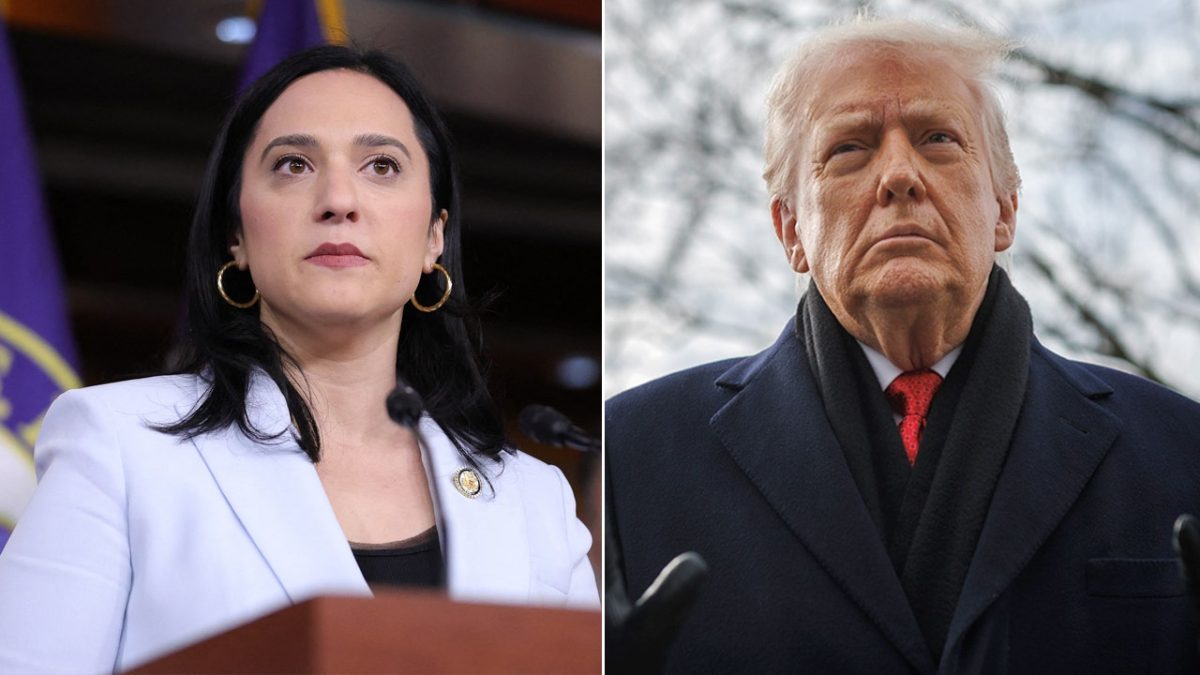 House Democrat labels Trump as 'mentally ill' and advocates for the 25th Amendment