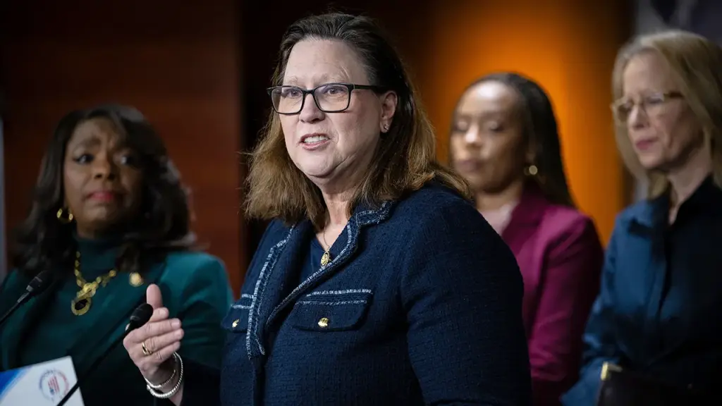 House Democrat shows backing for limiting DHS expenses