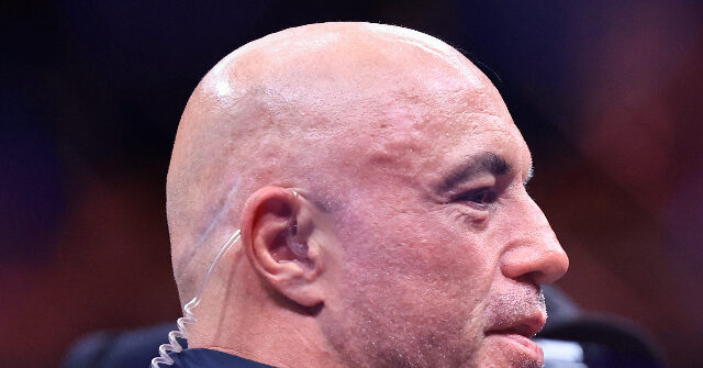 ICE are the Bad Guys Following Deadly Minneapolis Shooting; 'Are We Going to Act Like the Gestapo?'