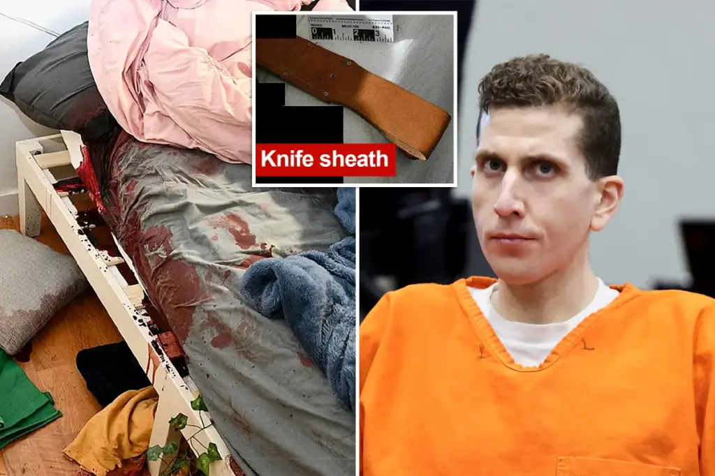 Idaho police explain why they briefly took down disturbing photos from the Bryan Kohberger murder scene.