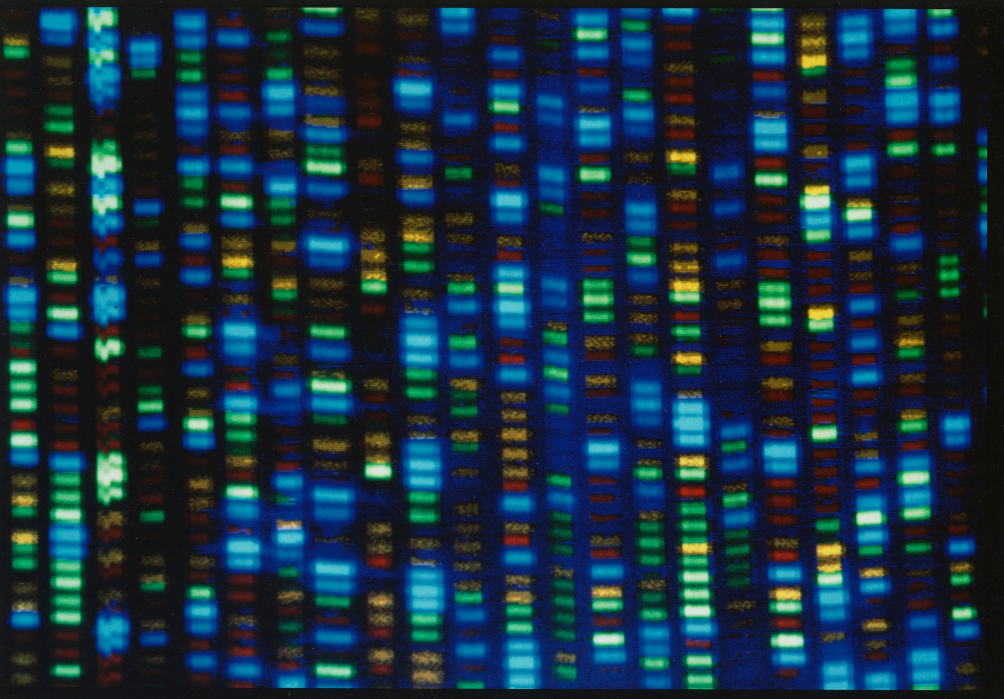 It has to be genetics: Study reveals that genes are essential for human longevity