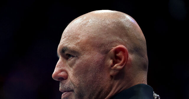 Joe Rogan Proposes Trump Is Causing Disruption to Steer Attention Away from Epstein Files