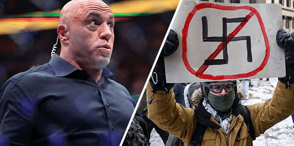 Joe Rogan describes Minnesota's anti-ICE protests as planned efforts to create disorder.