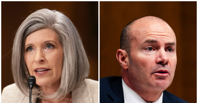 Joni Ernst and Mike Lee Raise Concerns About Suspected Fraud by Somali-Owned Rehabilitation Facility in Minneapolis