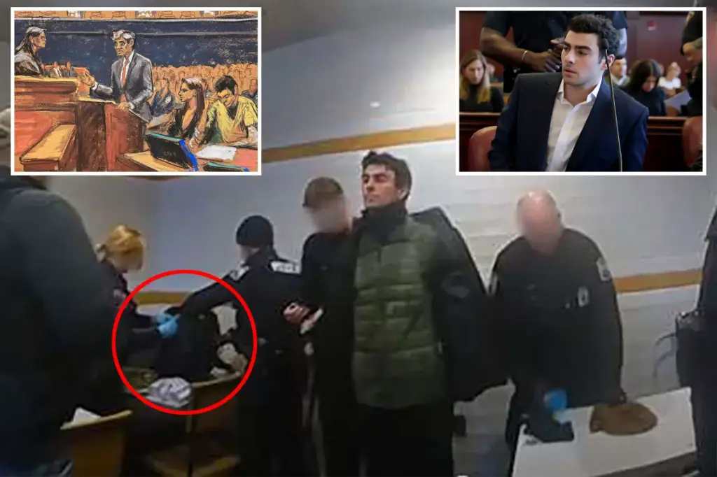 Judge Luigi Mangione calls police officer to court to give evidence on backpack search