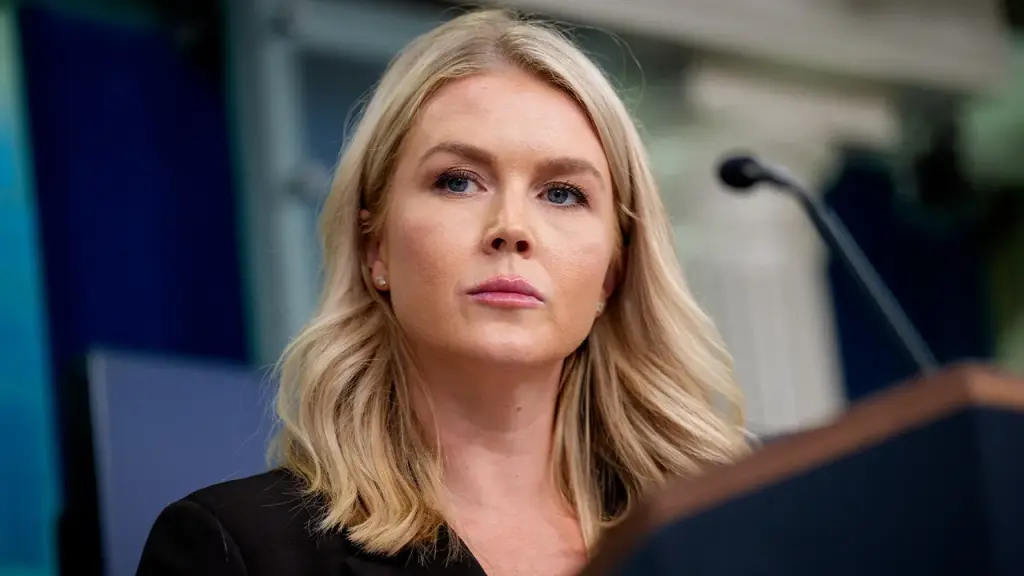 Karoline Leavitt claims Democrats are being untruthful about the ICE shooting in Minneapolis.