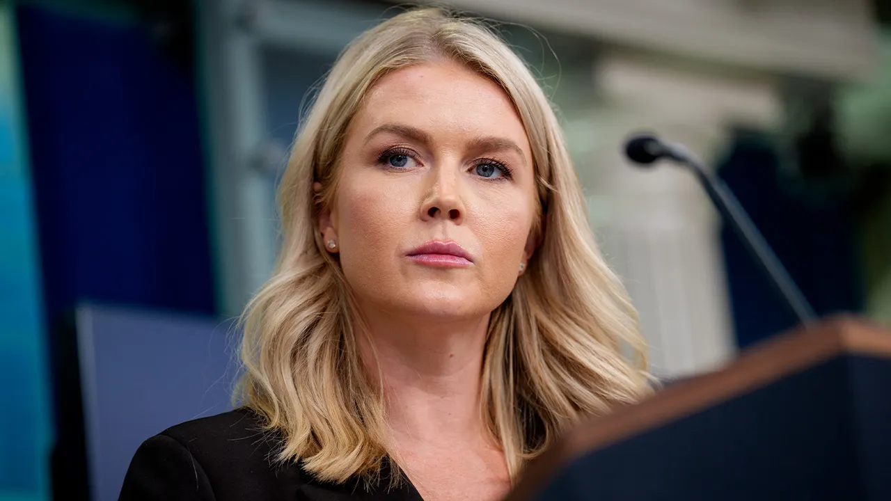 Karoline Leavitt claims Democrats are being untruthful about the ICE shooting in Minneapolis.