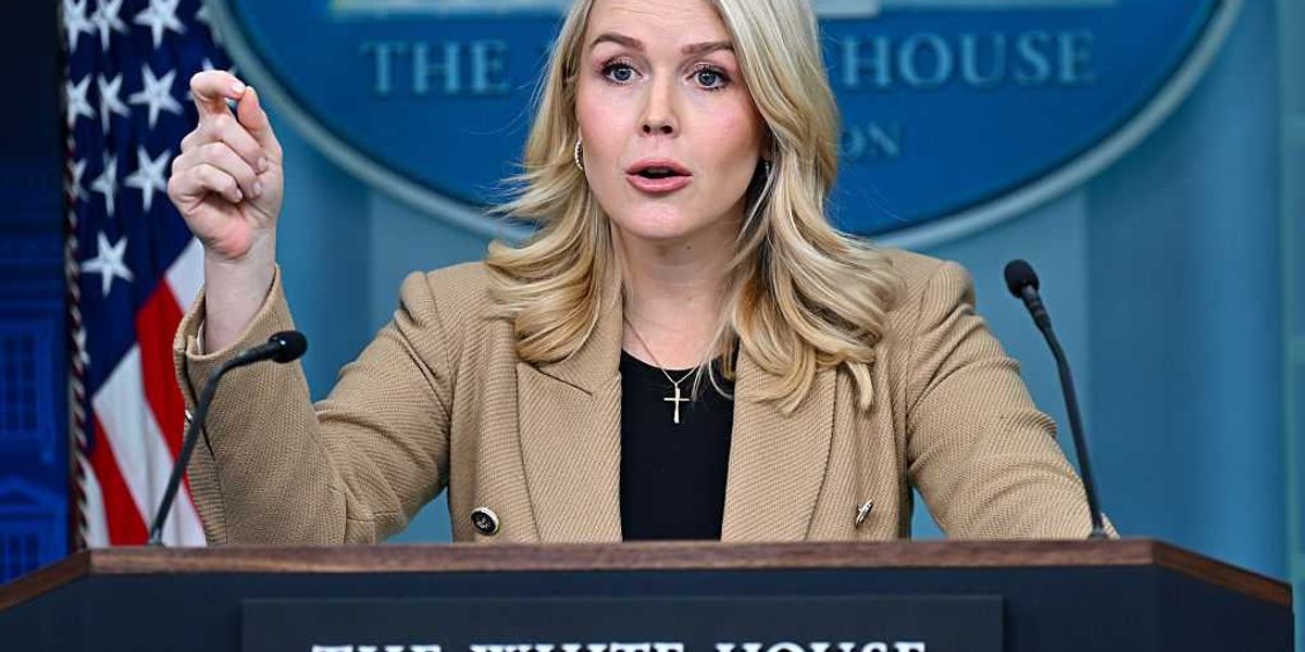 Karoline Leavitt criticizes journalist for 'biased' claims about ICE, calling them a left-wing hack.