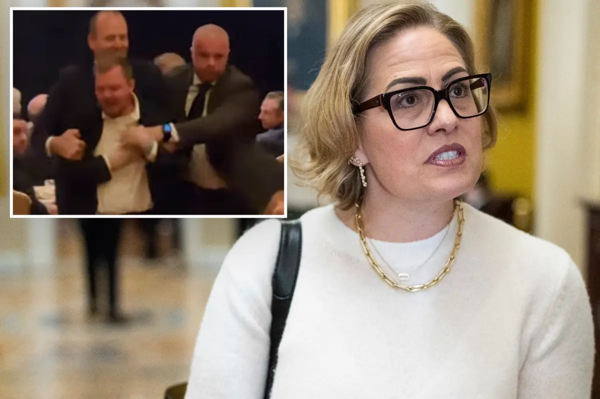 Kyrsten Sinema confronted by men who claim she is their 'lover' following shocking 'homewrecker' lawsuit