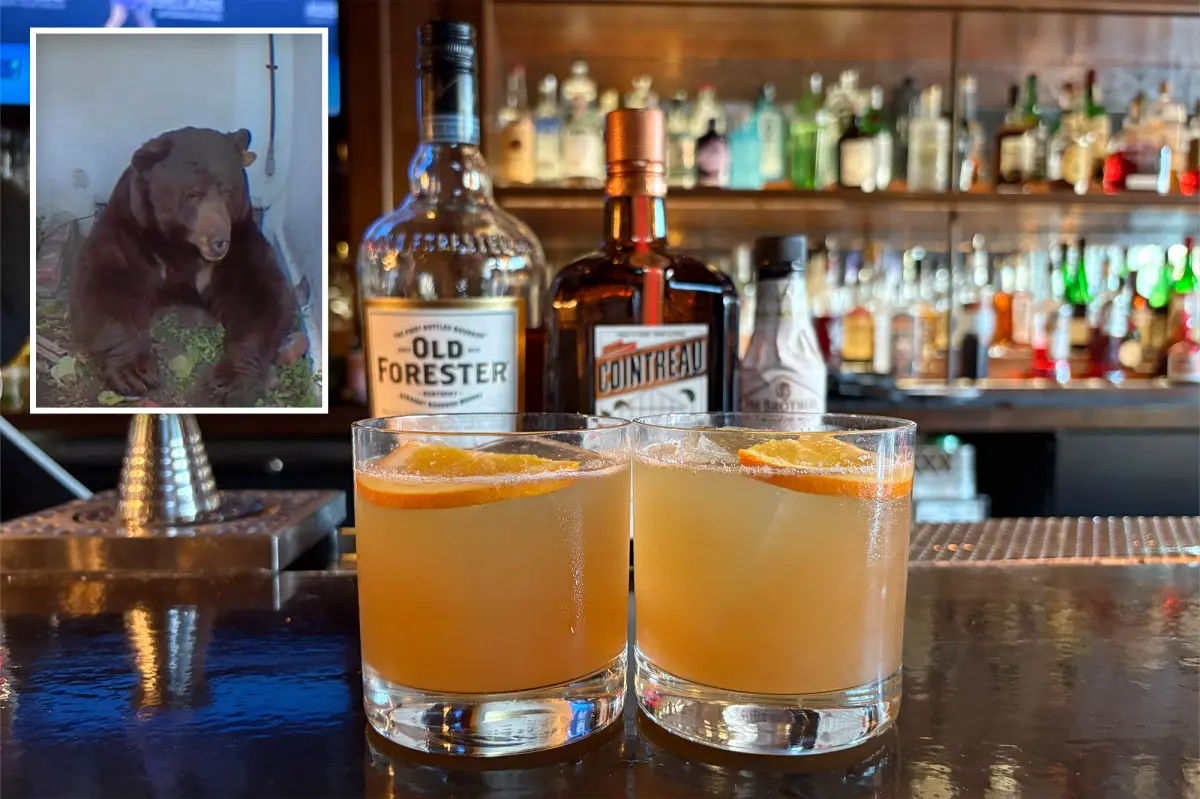 LA bar creates strong drink to pay tribute to squatter bear
