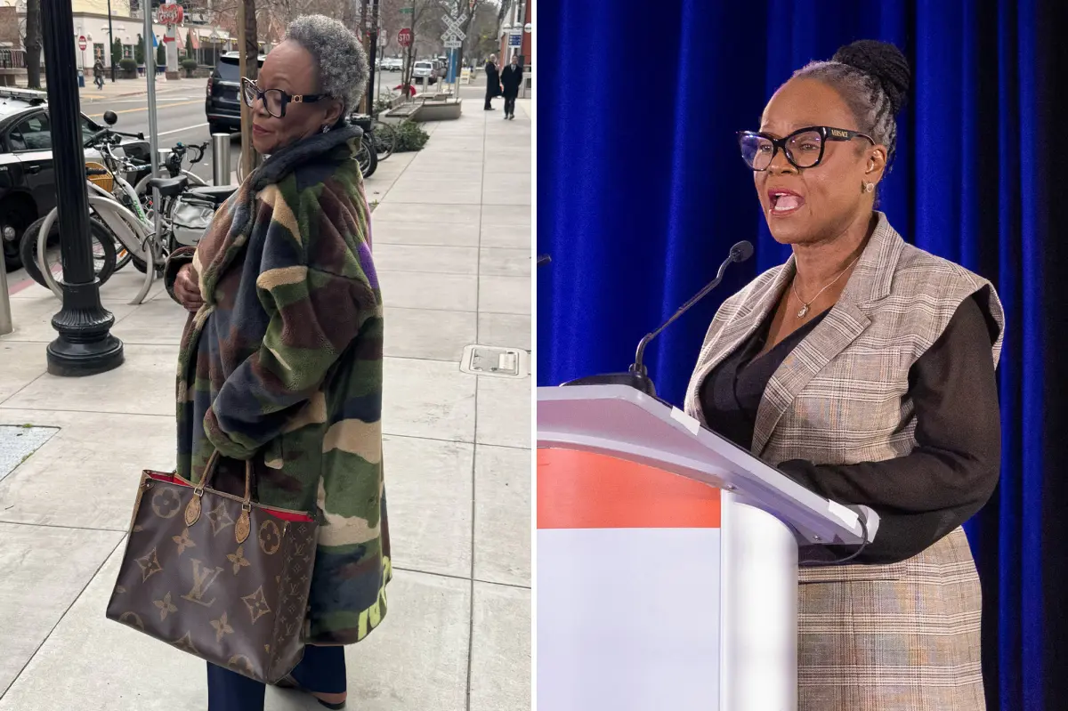 Lawmaker claims reporter is racist for questioning if her Louis Vuitton bag is 'fake'