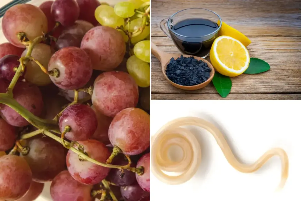 Least effective wellness cleanses and fasts in history— one involved a parasite