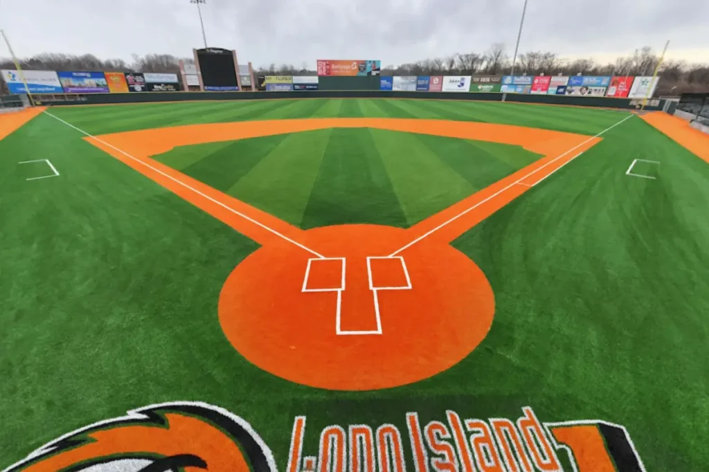 Long Island Ducks acquired by a company linked to the Rangers of Major League Baseball.