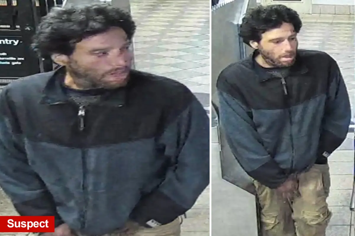 Man, 35, pushed onto NYC train tracks by stranger in second random subway incident of 2026, police say