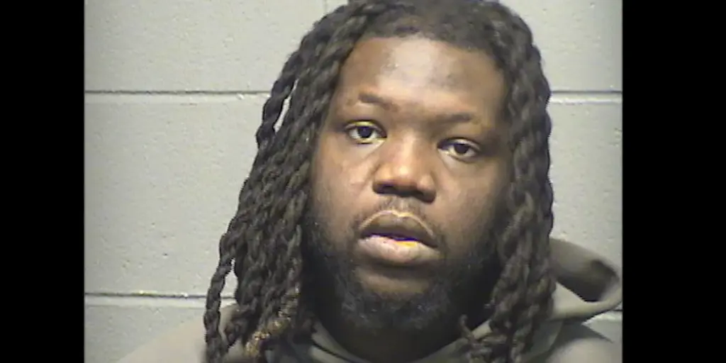 Man charged with attacking several victims during brutal thefts in downtown Chicago