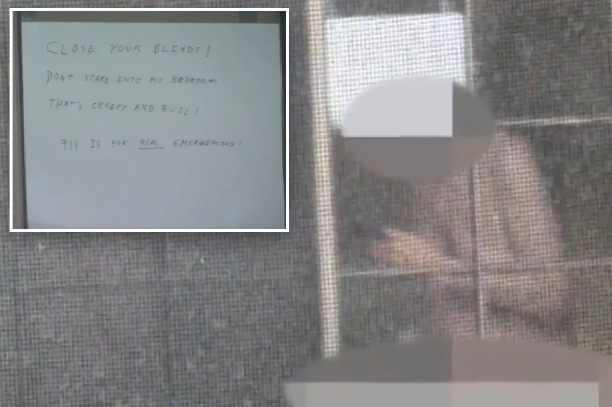 Man in LA reportedly stalks grandmother and then calls her 'creepy and rude' for saying she might call the police.