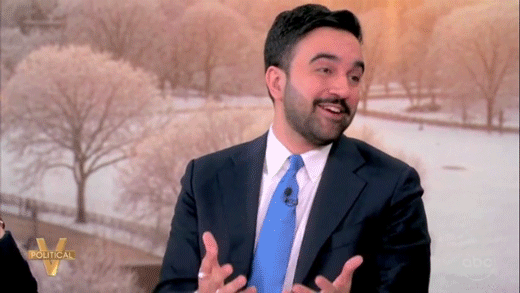 Mayor Zohran Mamdani challenged on contentious appointees during 'The View'