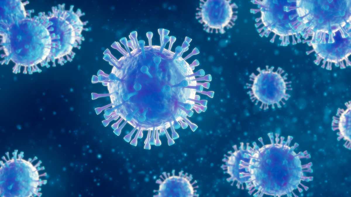 Measles exposure noted at a Walmart in South Carolina