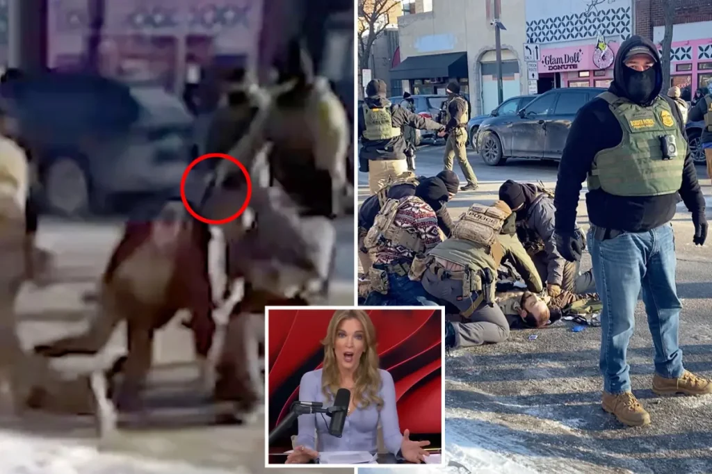 Megyn Kelly has no sympathy for Alex Pretti, who was killed in Minneapolis.