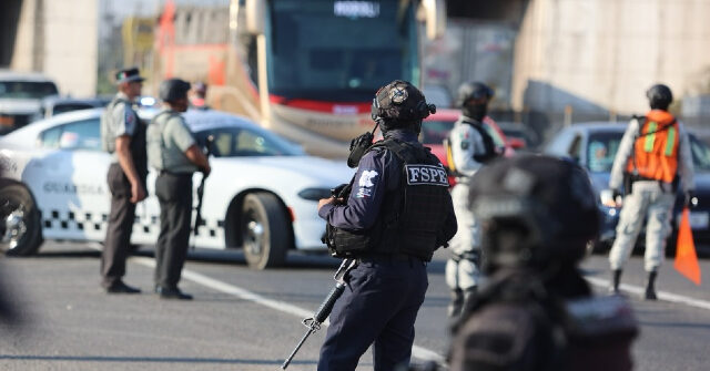 Mexican Politicians Demand Use of 'Terrorism' to Describe Cartel Attacks