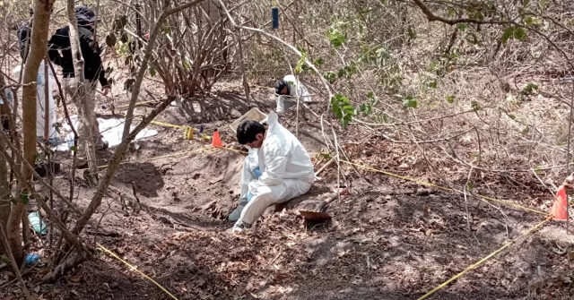 Mexico Failing to Record Data on Cartel Murder Sites and Secret Crematoriums