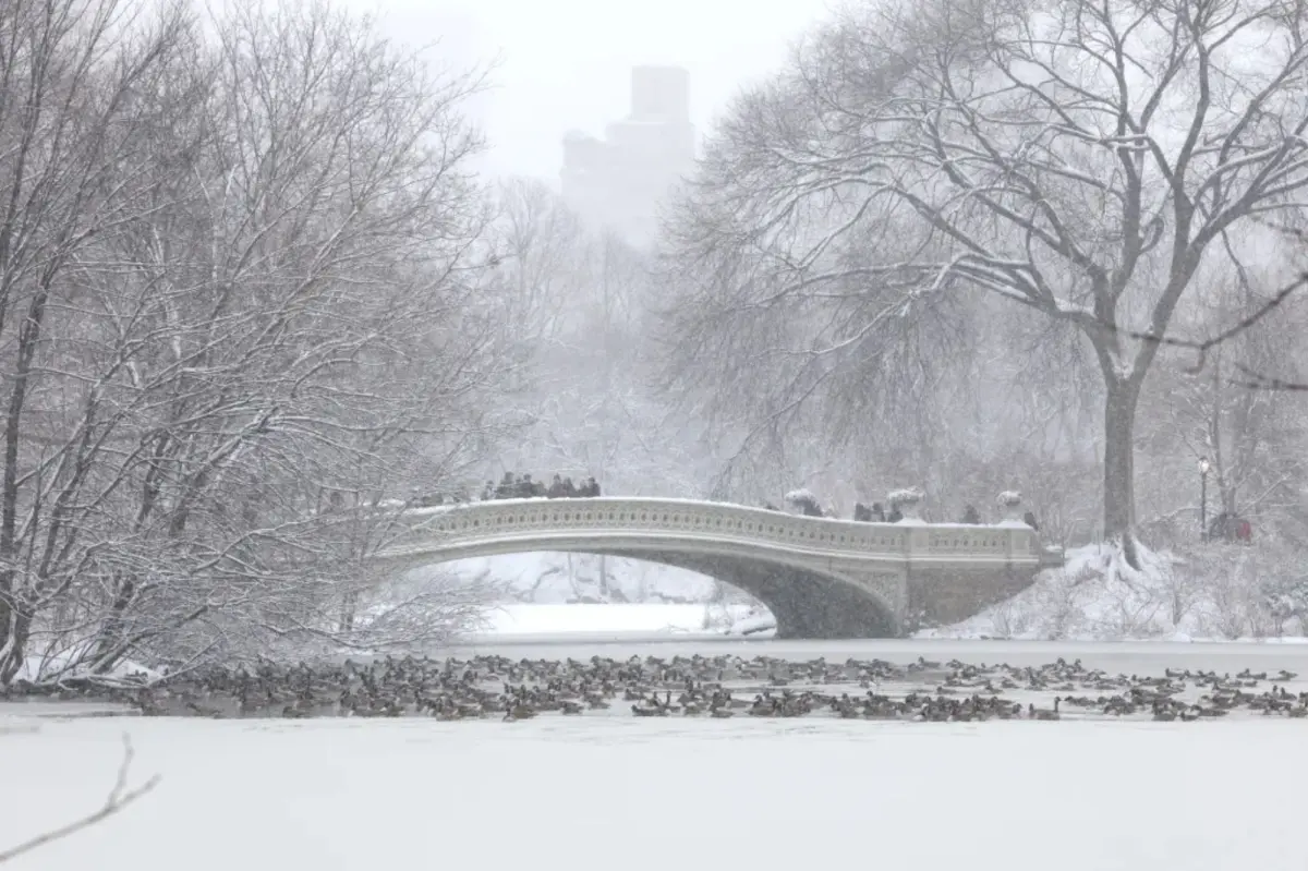 New York City faces freezing temperatures before Winter Storm Fern arrives
