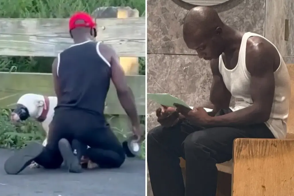 New York City judge to rule on the case of dog duct-taped in park