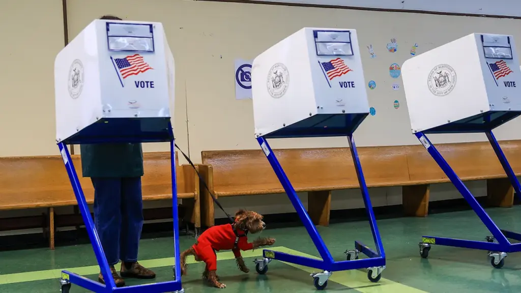 New York may schedule its 2028 presidential primary for Super Tuesday.