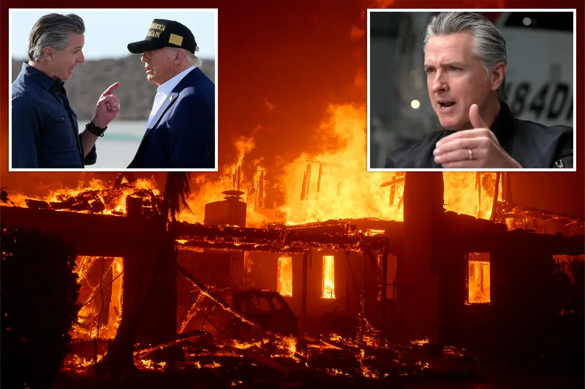 Newsom claims he was directly involved in battling LA fires after saying his hair caught fire.