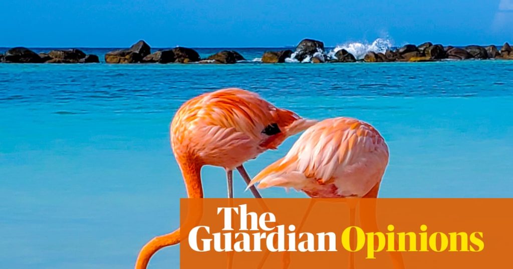 Nine scientific advancements I hope to witness in 2026 – covering everything from catchy tunes to procrastination