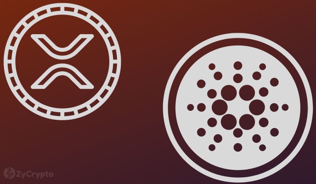 Novogratz Cautions XRP and Cardano to Demonstrate Practical Use or Face Oblivion