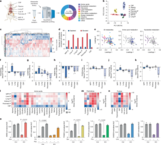 Nutritional needs for organ-specific spread in breast cancer