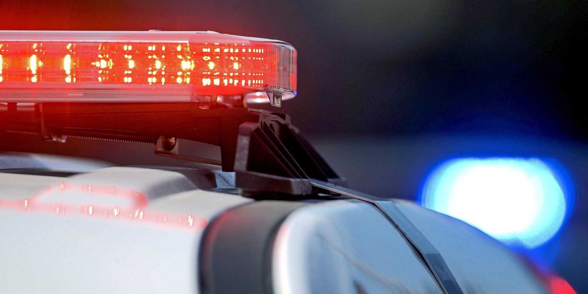 Officers surprised to identify woman voicing concerns about police to city council: 'Ma'am, you have an outstanding warrant!'