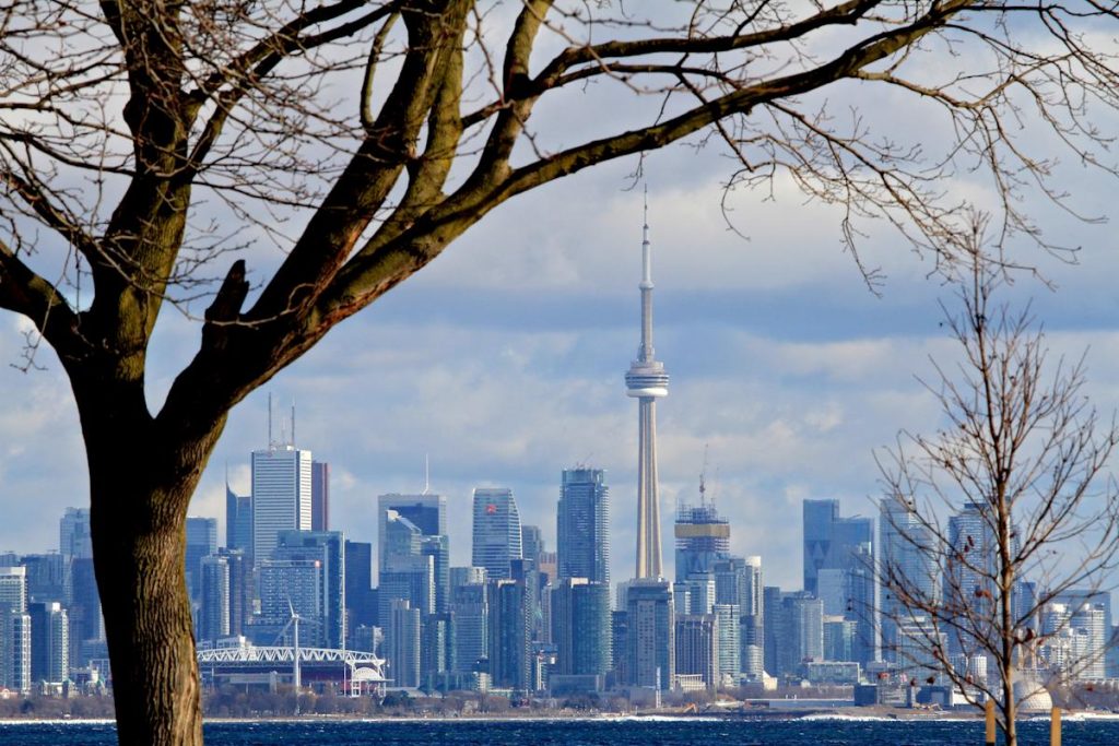 One type of ETF surged in popularity in 2025, with one fund leading the way.