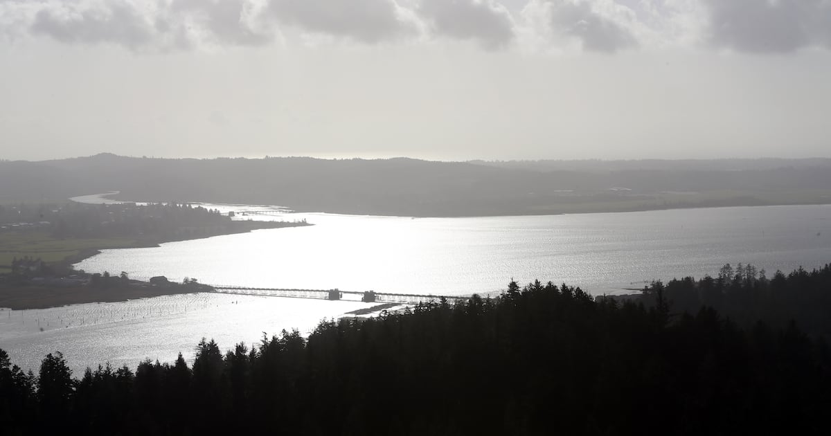 Oregon Experiences One of the Biggest Decreases in Obamacare Enrollment