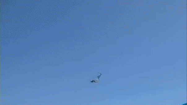 Paraglider in Florida plummets 500 feet into the ocean and survives.