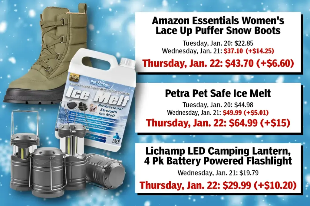 Price increases for shoppers as Winter Storm Fern approaches