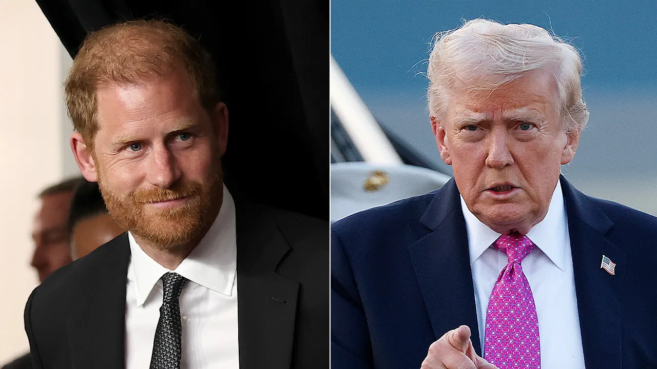 Prince Harry supports NATO partners following President Trump's remarks about Afghanistan