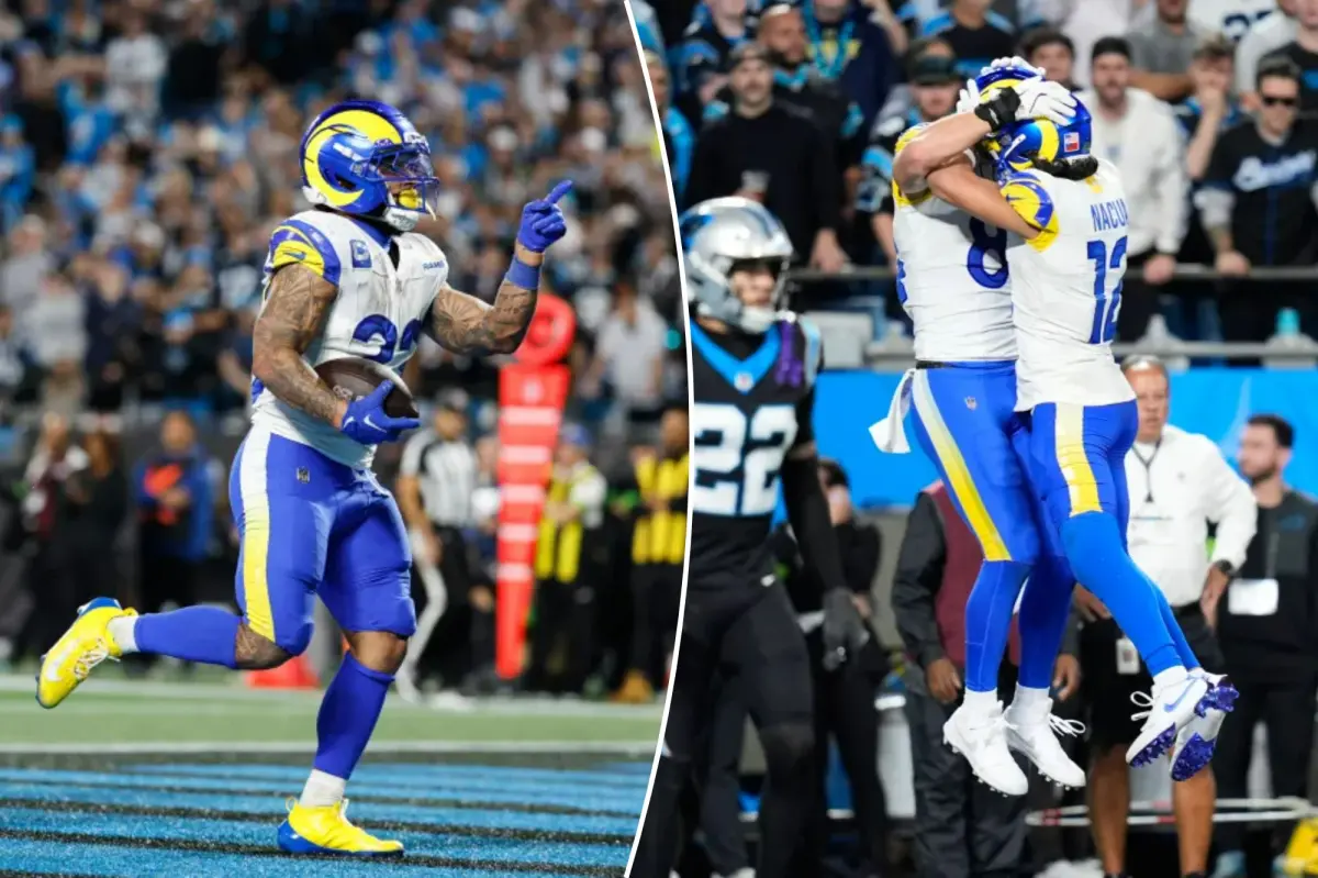 Rams come from behind to defeat Panthers in exciting wild-card match
