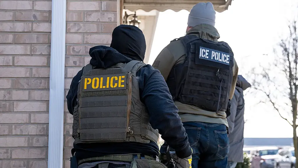 Reporter claims Trump treated journalists as 'instruments' to advance ICE enforcement