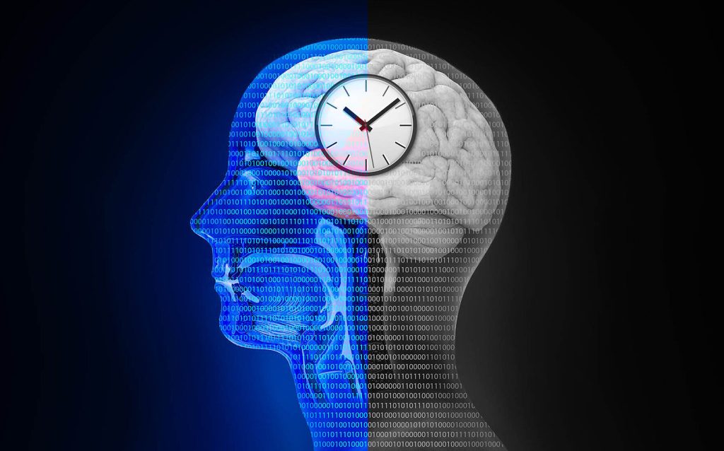 Research indicates that female sex hormones can affect the body's internal timing systems.