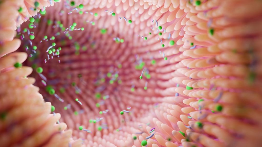 Researchers Connect Gut Bacteria to Bipolar Depression in Mice Study