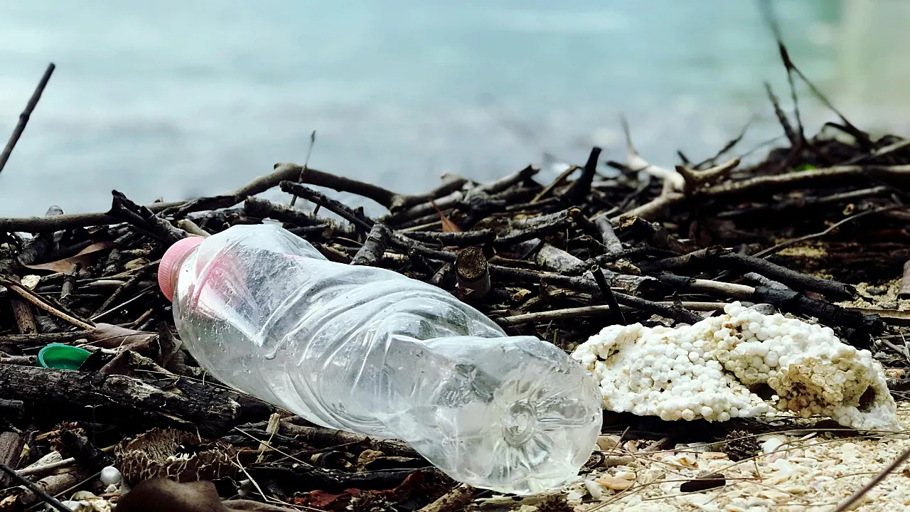 Researchers transform discarded plastic bottles into energy storage devices.