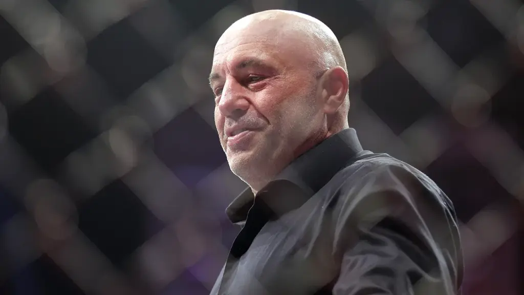 Rogan supports ICE operations, claims Democrats created the problem by allowing border access.